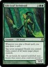 Slightly Played, English - 1 x MTG Gilt-Leaf Archdruid - Foil Morningtide