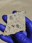 NWA 15339 Diogenite Polymict Breccia Meteorite 20.035g Part Slice COA — photo 10