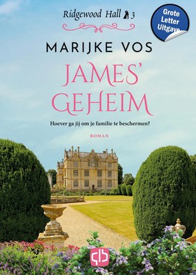 Marijke Vos | James' geheim - Ridgewood Hall 3 | Buch | Niederländisch (2024)