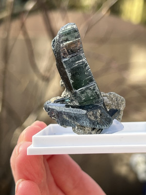 Vivianit Rumänisches Kristallpräparat in Vitrine AM81