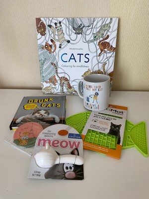 Cat Lovers Gift Bundle x 6 - Mug, Colouring Book, Spoons, Mirror, Book, Lickimat