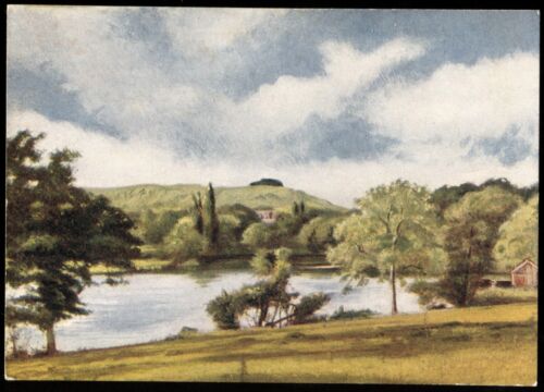 Tobacco Postcard,Phillips,BEAUTY SPOTS OF THE HOMELAND,1938,Chanctonbury Ring,#8 - Picture 1 of 2