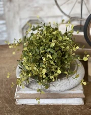 7" Bog Pimpernel Half Sphere