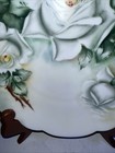Antique Vintage Hand painted Bavaria Flower Plate Pre-1920German  — photo 5