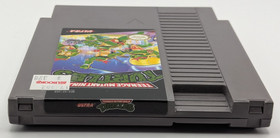 Teenage Mutant Ninja Turtles (Nintendo NES, 1989) solo carrello - testato e funzionante