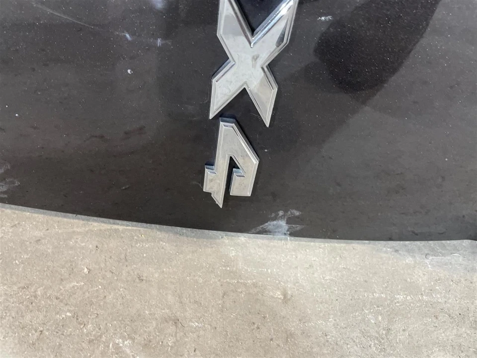 (LOCAL PICKUP ONLY) Trunk/Hatch/Tailgate Fits 09-11 DODGE 1500 PICKUP 2012352 Foto 3 de 4