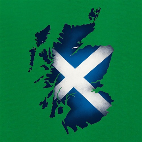 Scotland Flag Overlay - Kids Hoodie / Sweater - Scottish Flags SNP Capital Love - Picture 2 of 20