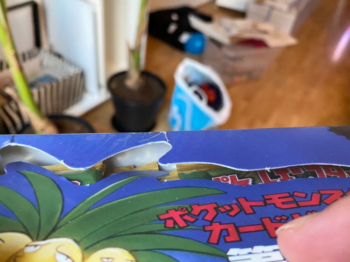japanese jungle booster box Pokemon Japanese Jungle SHORT PACK BOOSTER BOX SUPER EXCLUSIVE!!