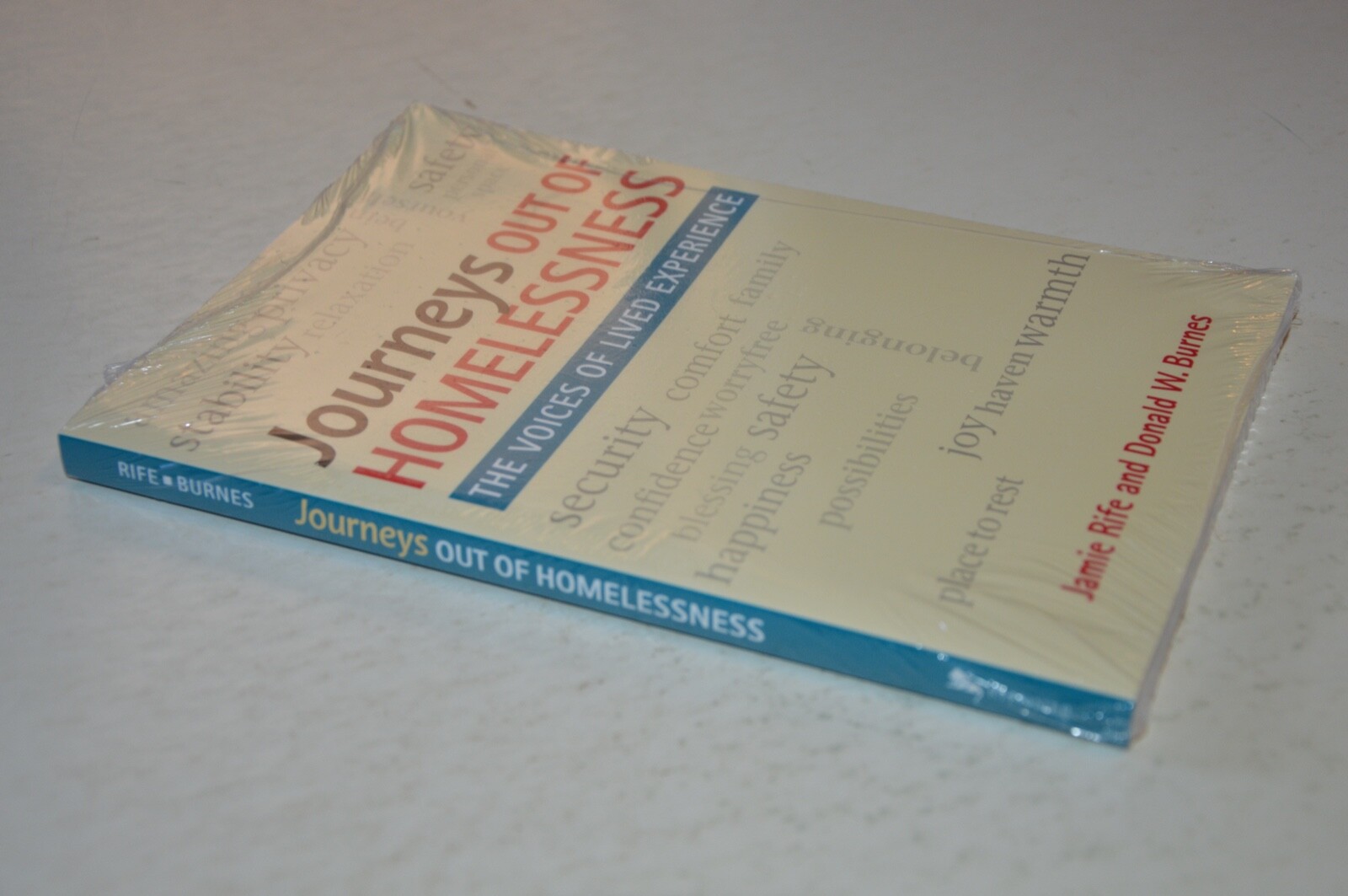 Jamie Rife Journeys Out of Homelessness : The Voices of Lived Experience by Donald ...