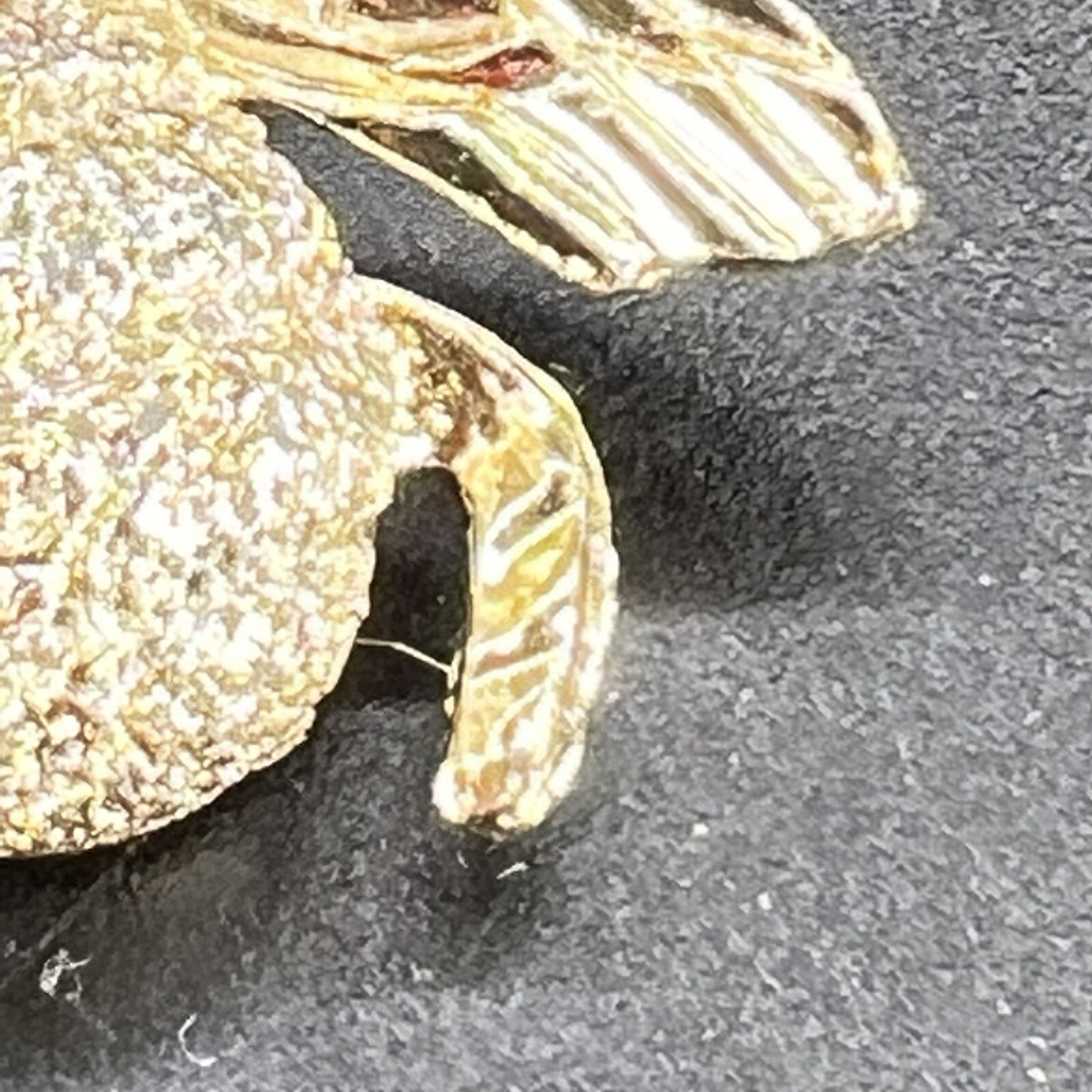 Picture 12 of 12