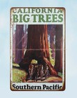 decor 1928 California Big Trees Southern Pacific Railroad metal tin sign