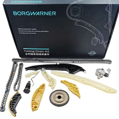 06H109158N, 06H109469T, 06H109469AP Genuine BorgWarner Timing Chain Kit For AUDI