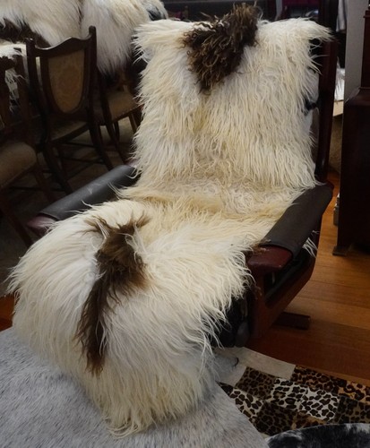 A Cascade of Natural Curls -Double Length Brown & White Icelandic Sheepskin Rug - Picture 8 of 10
