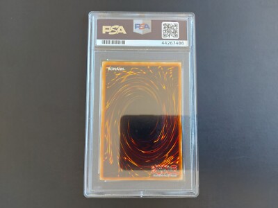 【PSA8】ブラック・マジシャン　DDS-002 Secret Rare Yugioh Dark Magician DDS-002 Secret Rare Dark Duel Stories