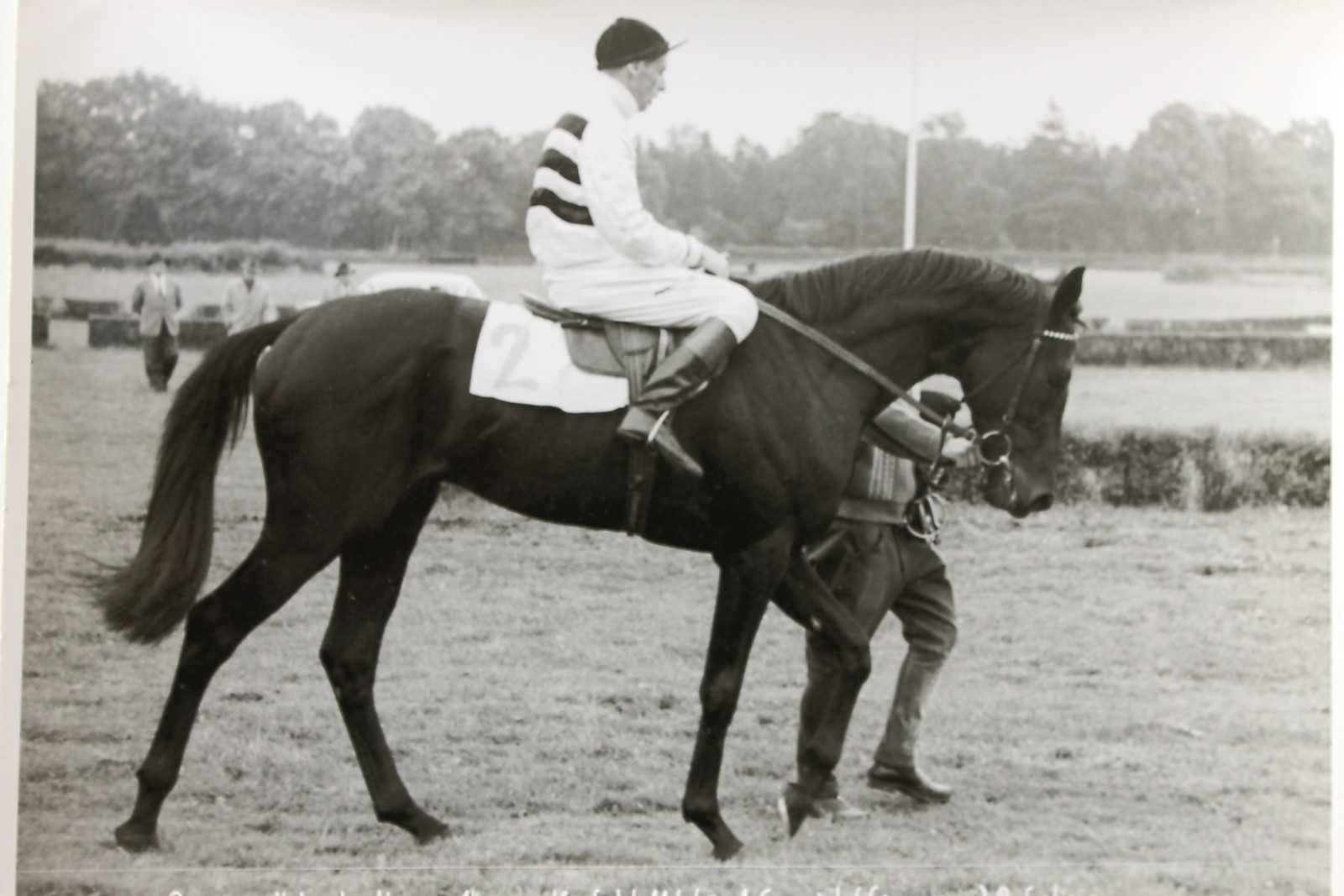 19543 Photo Price From Hohenbudberg Horse Race Krefeld 11.6.1960 Rider Horse