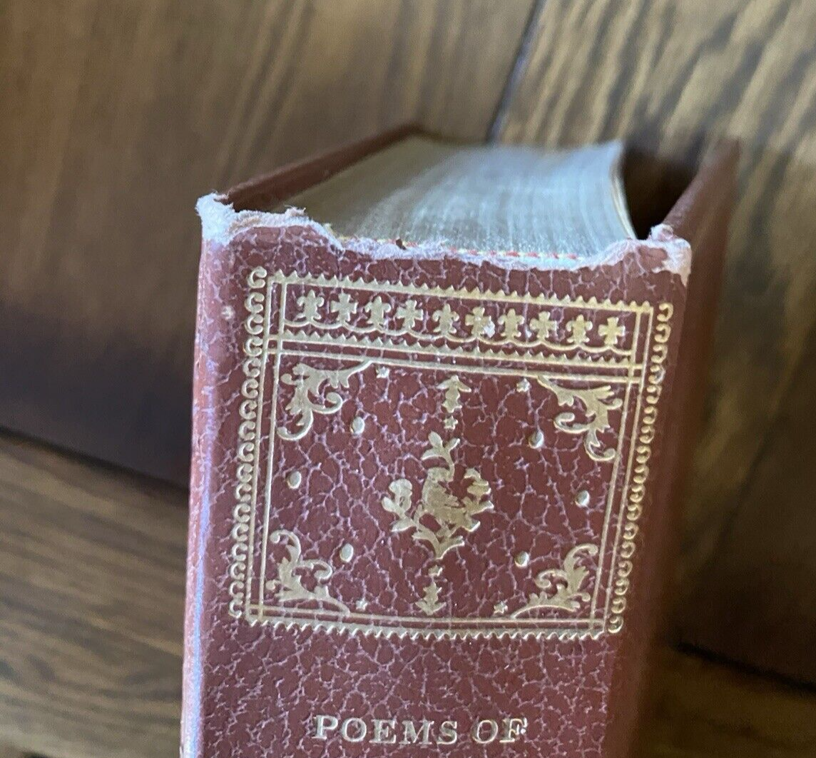 Picture 18 of 20