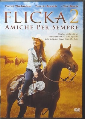 DVD FLICKA 2 - Freunde für immer 2010 gebraucht Verlag