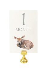 Weekend Co.  Baby Animals Milestone Cards, baby monthly marker for an expecti...
