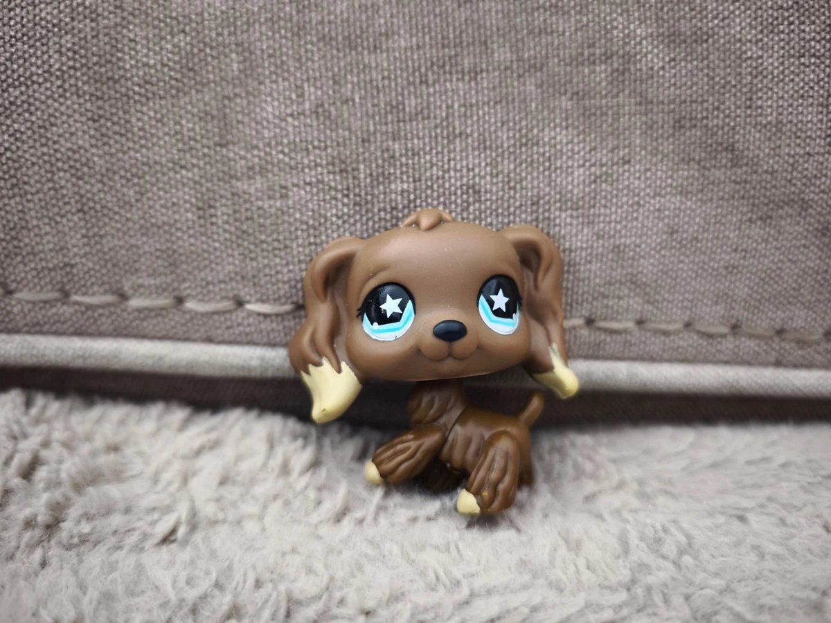 Spaniel dog | Chien épagneul | Jacques Garcia, Intemporel | 2023