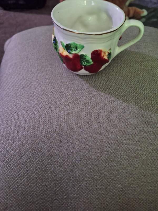 Vintage Apple Themed Cups