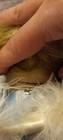 Bild 9 von 11