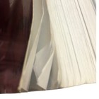 Bild 11 von 12
