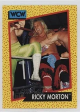 1991 Impel WCW Ricky Morton #101 Rookie RC