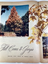 Atlanta Ga Print Centerfold 1952 AJC Fall Color Piedmont Park Tennis Bobby Jones