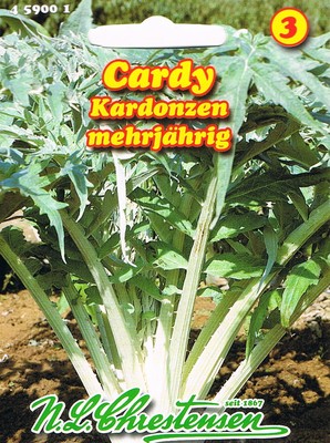 Gemüseartischocke Cardy 'Kardonzen'  mehrjährig  Artischocke Saatgut 459001