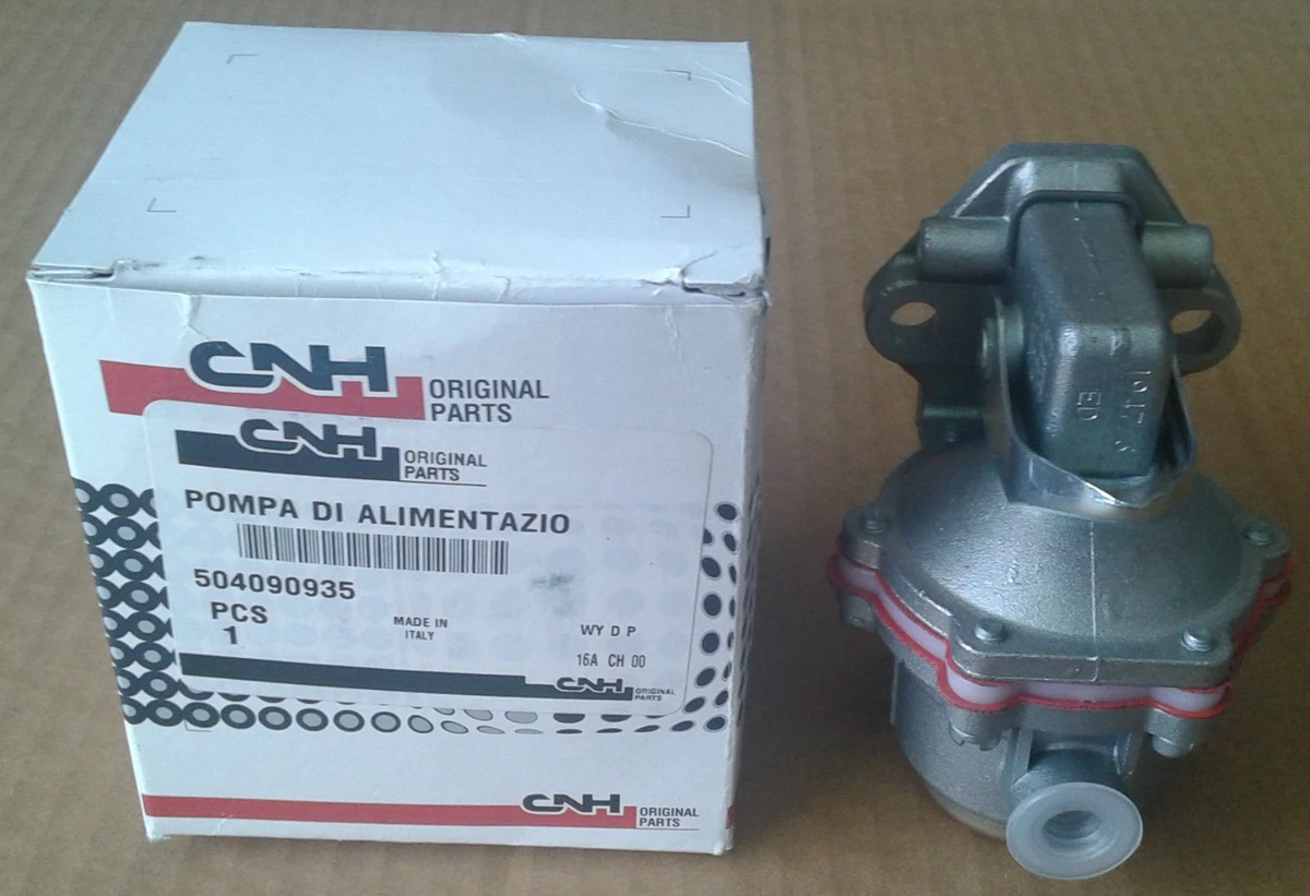 ALEXIA STAM 2024 ビキニ Madeline pitaya