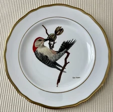 Spode AMERICAN SONGBIRD SERIES 9" Salad Plate RED-BELLIED WOODPECKER