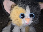 Bild 3 von 10