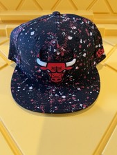 Chicago Bulls Collecting and Fan Guide 46