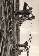 Postcard RPPC Italy Perugia Palazzo Comunale Grifo Perugino e Leone Real Photo