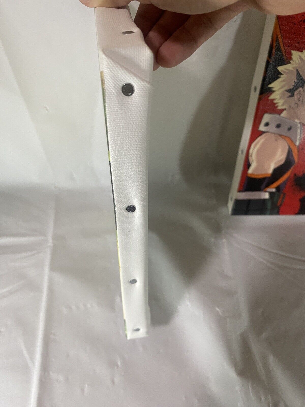 Picture 5 of 13