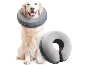 comfortable e collar