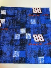 Dale Earnhardt Jr Nascar Fabric