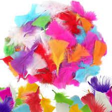 Feathers For Crafts - 300 Coloured Craft Feathers For Costumes & Decorations