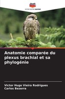 Anatomie ComparéE Du Plexus Brachial Et Sa PhylogéNie Victor Hugo Vieira Rodrigu