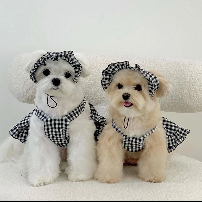 3pcs Cute Pet Clothes Set (S) - Plaid Print Dress, Ruffle Trim Hat & White Shirt - Image 2 of 4