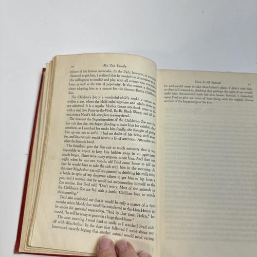 MY ZOO FAMILY 1955 Helen Martini Illustrated Vintage Collectible Rare Book - Picture 12 of 17