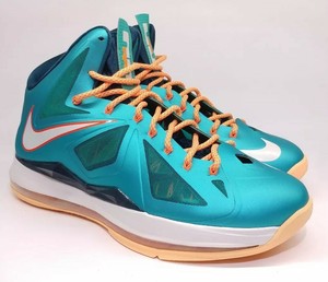 lebron 10 dolphins