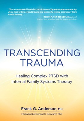 Transcending Trauma | Healing Complex PTSD with Internal Family Systems | Buch