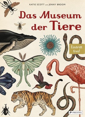 Das Museum der Tiere, Jenny Broom