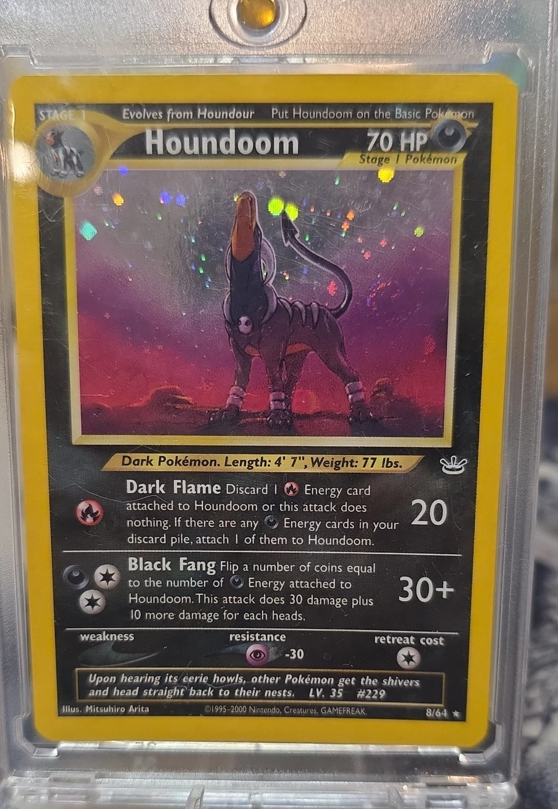 Houndoom 08/64 Neo Revelation Holo