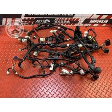 Faisceau électrique principale Yamaha T-Max 530 de 2012 à 2016