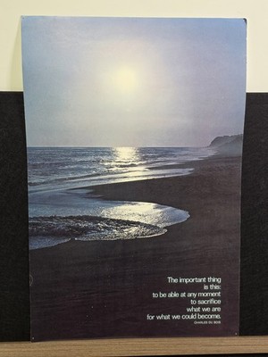 Vintage Motivational Poster 14x21 Argus 1973 Ocean