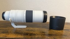 Canon RF 200–800mm f/6.3–9 IS USM Super Telephoto Zoom Lens