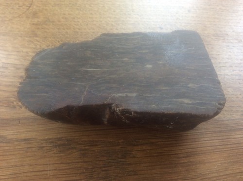 Quirky Interesting Petrified Wood Polished Natural Fossil Paperweight 228gm 3.5”