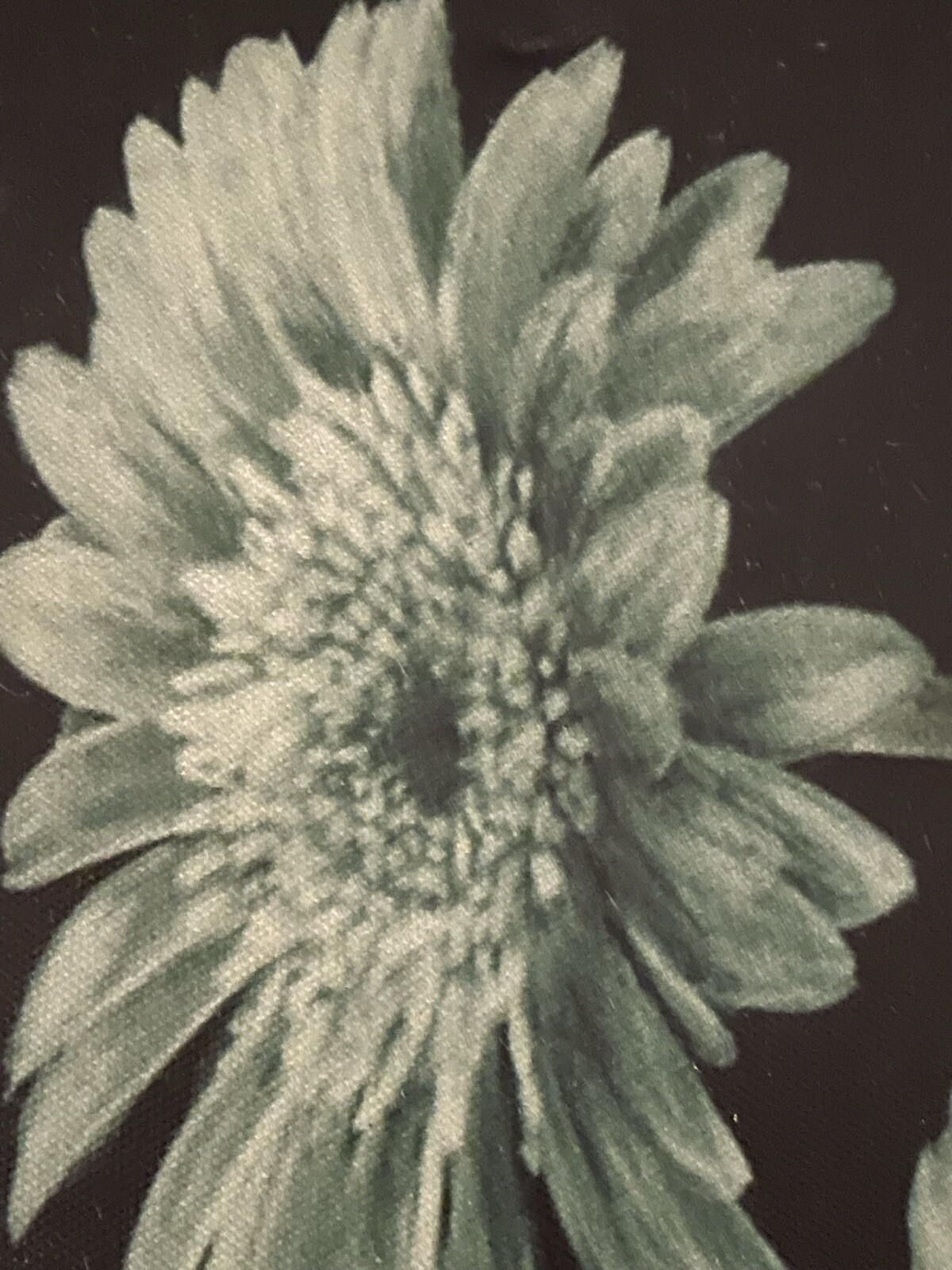 Flowers Green On Black Canvas Picture Photo Wall Art Home Decor 4PC